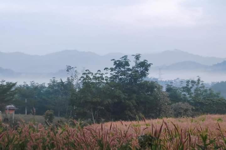 ภูริรักษ์ *